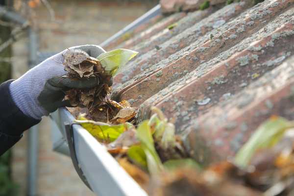Gutter Cleaning
